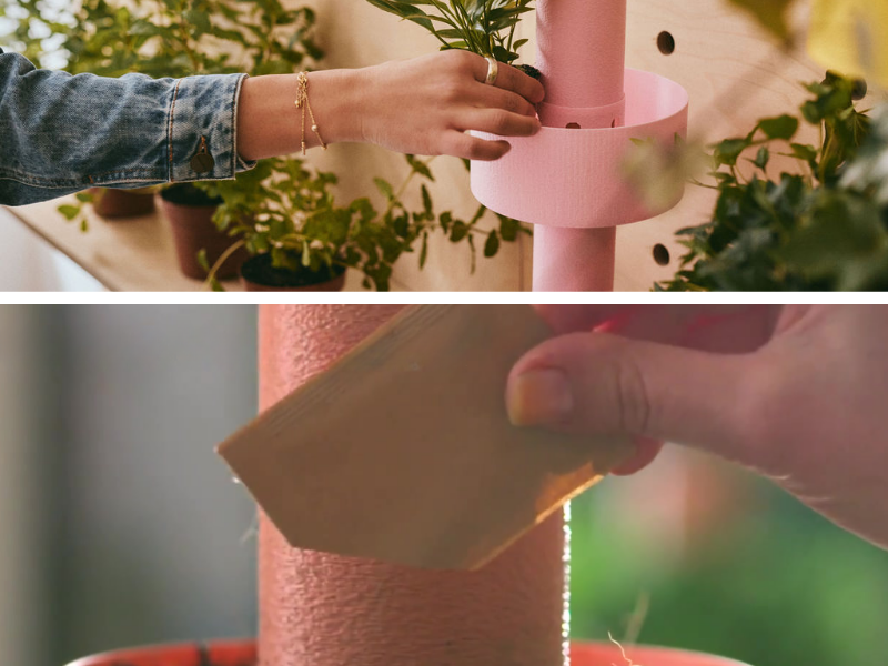 Planting seeds in Garden Stack